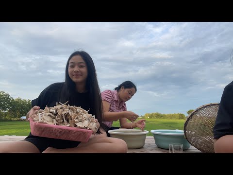 ล้างเห็ดปลวก-ขึ้นอยู่ข้างสวน🇱🇦 ล้างเห็ดปลวก-ขึ้นอยู่ข้างสวน🇱🇦