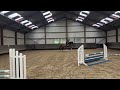 Show jumping horse Super fijn amateur paard
