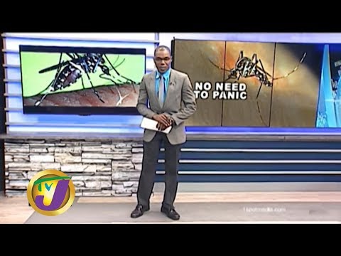 TVJ News: No Confirmed Cases of the Aedes Albopictus Linked to Dengue - December 19 2019