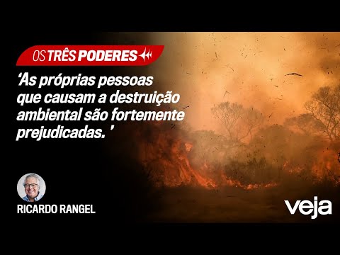 Ricardo Rangel analisa as práticas do agro diante os incêndios no Pantanal | Os Três Poderes