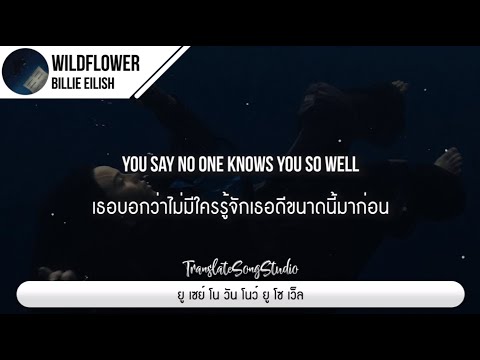 แปลเพลงWILDFLOWER-BillieEi