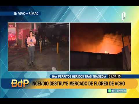 Tragedia en el Rímac: incendio destruye locales del mercado de Flores Santa Rosa (1/3)