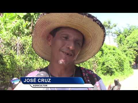 Escases de mano de obra en el sector agrícola del distrito de Anamorós La Unión Norte