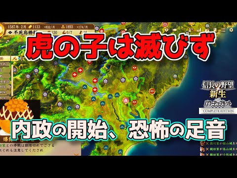 <信長の野望・新生PKCE>暗躍する狸さん(武田家、第7話)