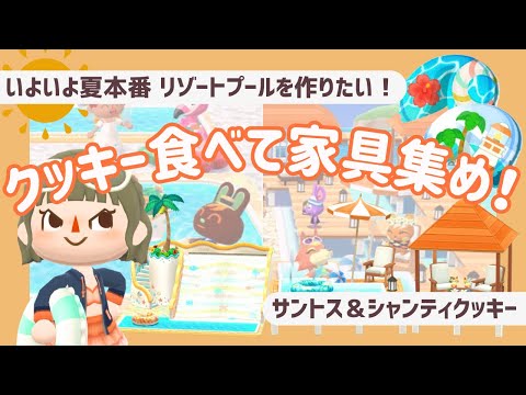 【ポケ森コンプ】クッキー食べて家具集め！🌺サントス＆シャンティクッキー【初心者実況】