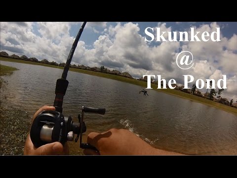 got skunked at the pond