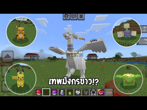 ✔แจกแอดออนโปเกม่อนในมายคราฟม