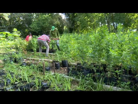 Jardín Botánico de Cienfuegos en programa alimentario nacional