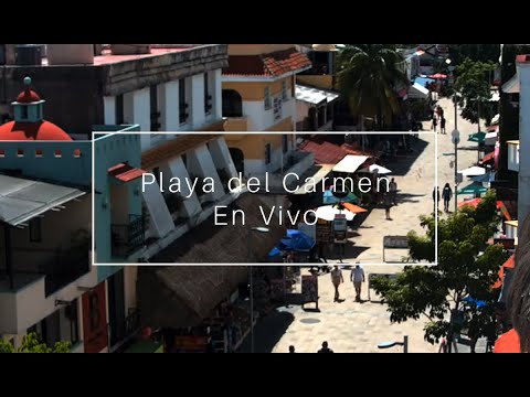 Vista en vivo de la Quinta Avenida en Playa del Carmen, Quintana Roo