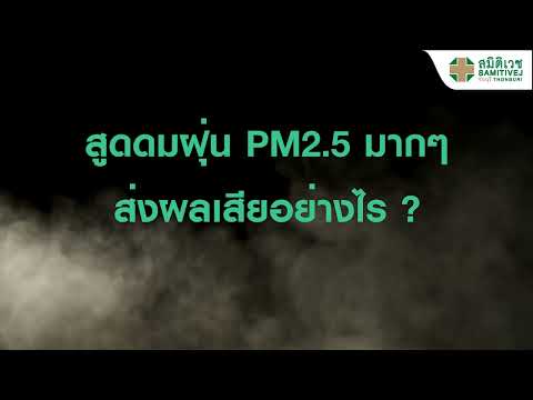 PM2.5ฝุ่นพิษขนาดจิ๋วแต่โทษ
