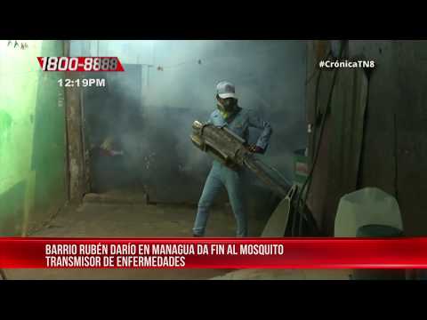 Barrio Rubén Darío en la lucha para eliminar el mosquito - Nicaragua