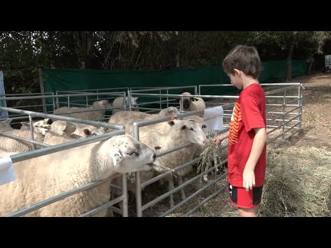 Se desarrolló el encuentro de la granja y el ovino en Canelones