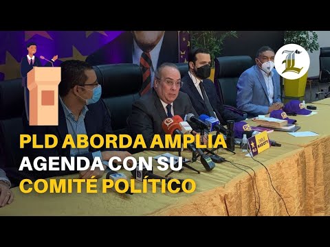 PLD elige a Temo Montás y a Juan Ariel Jiménez como sus vicepresidentes