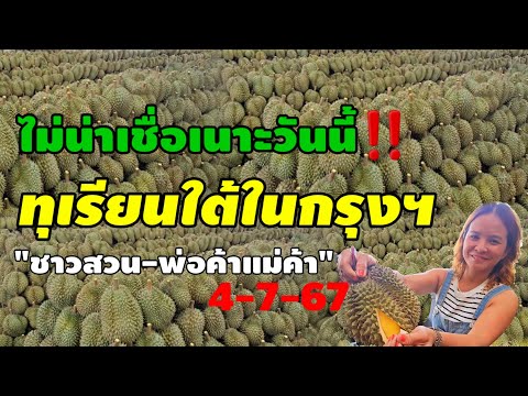 yutthapong Chanal ไม่น่าเชื่อ!ทุเรียนราคาวันนี้สุดๆไทยจ้าวตลาดทุเรียนยื่น1‼️ผล