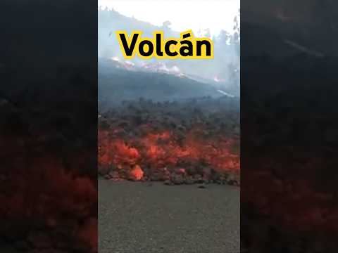 La LAVA avanza tras la ERUPCIÓN del Volcán en La Palma Cumbre Vieja en Canarias  #volcan