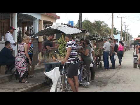 Enfrentamiento a política de precios agropecuarios de Guáimaro