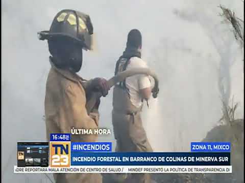 Incendio forestal se registró en barranco de Colinas de Minerva