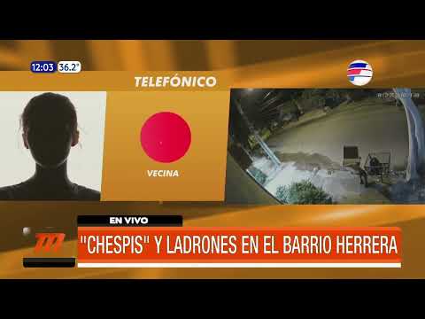 ''Chespis y ladrones en el barrio Herrera