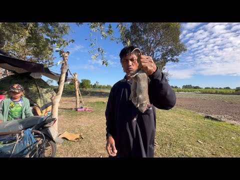 หาหนูอยู่ทุ่งนารูใหม่ๆทางงามข