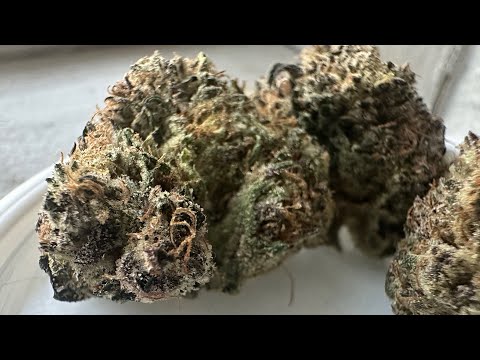 The Lantz Strain review!! (Classic Runtz Profile!!)