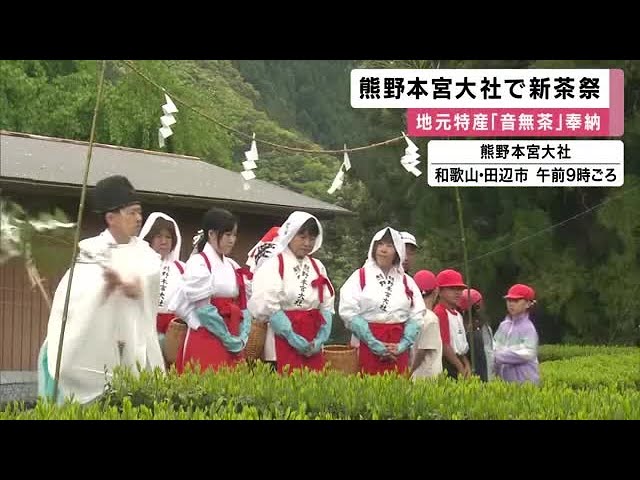 Image of Kumano Hongu Taisha Holds 'First Tea Festival'