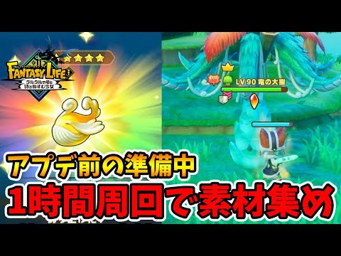 アップデートはいつになる？重要素材を今のうちに集めていくー！【ファンタジーライフi】【naotin】