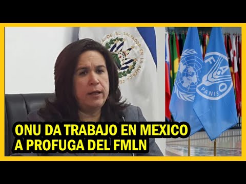 ONU en Mexico da trabajo a Lina Pohl ex ministra del fmln | Arena sin apoyo popular