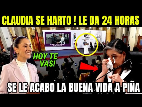 ¡CLAUDIA SE HARTÓ! DEJA FRIA A NORMA PlÑA, LA EXPONEN EN LA CAMARA DE DIPUTADOS EL DÍA DE HOY