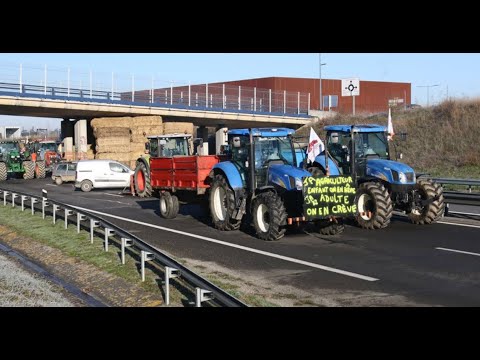 Blocage de l'A64 : près de Toulouse, les agriculteurs poursuivent le mouvement et disent ne plus …