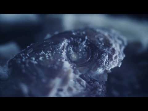 Christian Löffler Concert Tickets - 2026 Tour Dates.