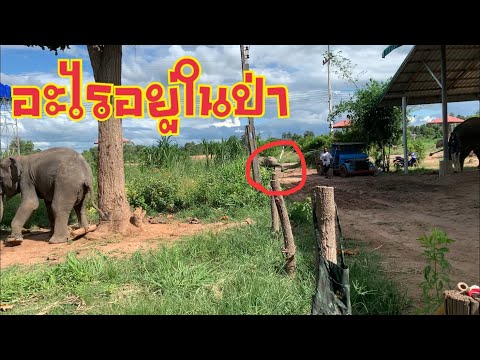 ก่อนเลิกโรงเรียน-❗️แก้วตาแสบมา ก่อนเลิกโรงเรียน-❗️แก้วตาแสบมา