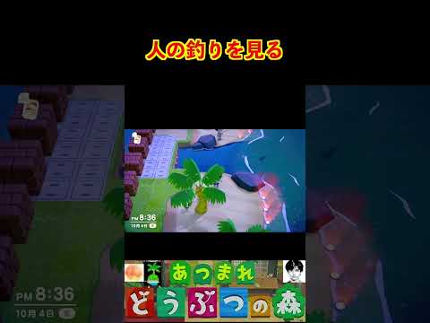 人の釣りを見る #あつまれどうぶつの森 #shorts #あつ森