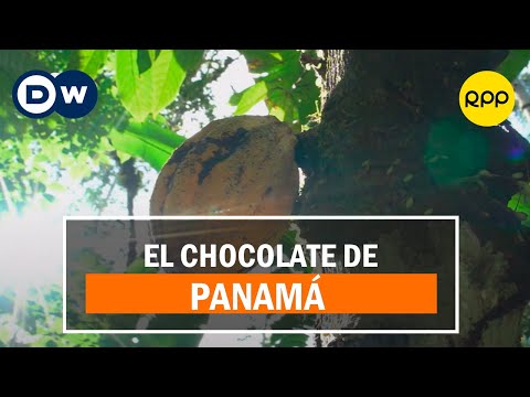 Chocolate hecho en Panamá