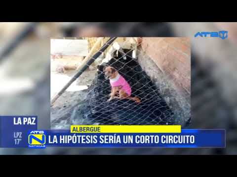 El albergue de mascotas 'Peluchín' se incendió y dejó animales heridos y pérdidas materiales