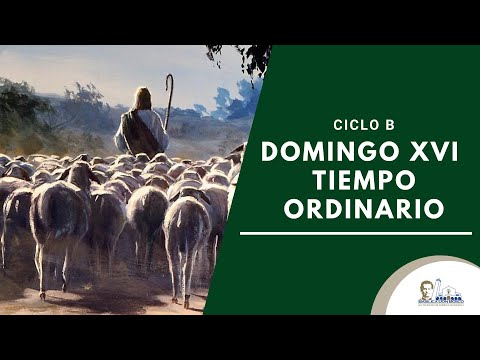 Misa Matutina - Domingo de la XVI semana del Tiempo Ordinario.
