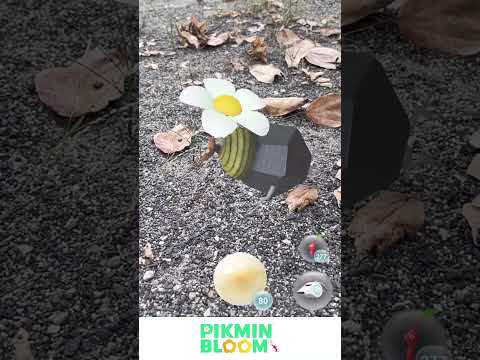 Great oaks grow from small acorns… but probably not from this one 🌰 #Pikmin #PikminMoves