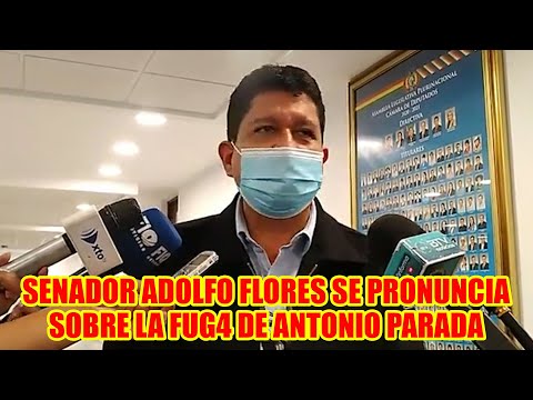 DECLARACIONES DEL SENADOR LUIS ADOLFO FLORES SOBRE ITEMS FANTASMA...
