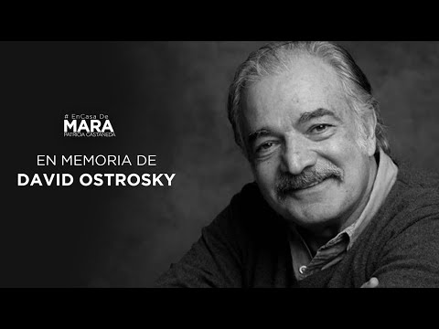 David Ostrosky, Descanse En Paz | Mara Patricia Castañeda