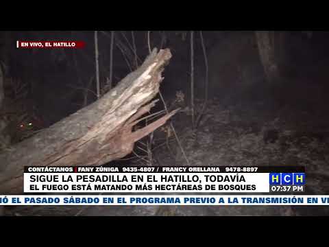 ¡Lamentable! sigue la pesadilla en el Hatillo, el fuego sigue matando muchas héctareas de bosque