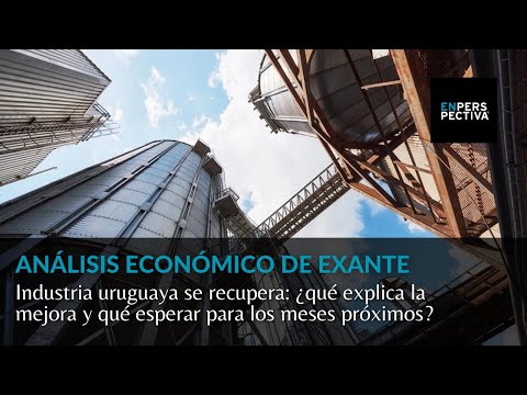 Industria uruguaya se recupera: ¿qué explica la mejora y qué esperar para los meses próximos?