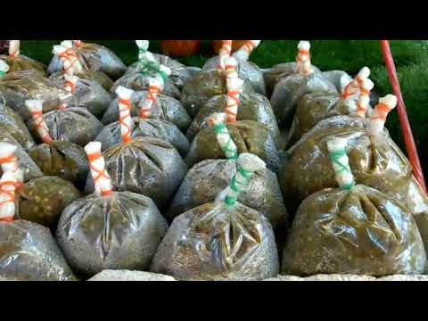 ร้านของฝาก-เชียงใหม่-ไม่ต้องเข ร้านของฝาก-เชียงใหม่-ไม่ต้องเข