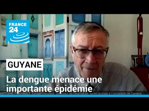 La Dengue menace : importante épidémie en Guyane • FRANCE 24