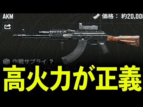 高火力武器「AKM」が強すぎるwww【アリーナブレイクアウト】