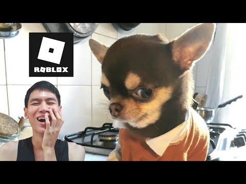 Roblox-สด-:-ตื่นสายอีกแล้วแม่ Roblox-สด-:-ตื่นสายอีกแล้วแม่