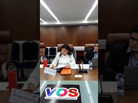 DIPUTADOS DE VOS CITAN A VICEMINISTRA Y COMISIONADO CONTRA LA CORRUPCION DE BERNARDO AREVALO GUATE