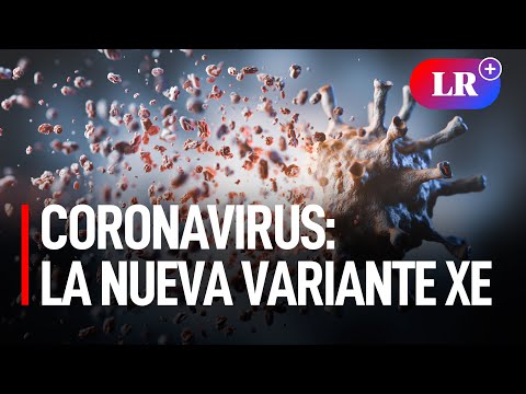 Coronavirus: La nueva variante  XE | #SINAPSIS