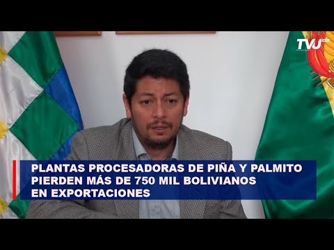 Plantas Procesadoras de piña y palmito pierden más de 750 mil bolivianos en exportaciones
