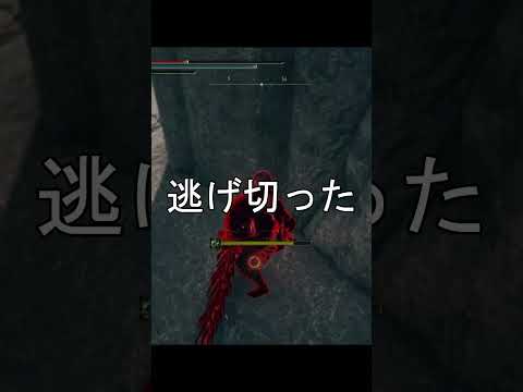 エルデンリング 地獄の侵入　糞出待ちへいたぶりやがって絶対に許さん！  ELDEN RINGDLC #elden #eldenringdlc #ダクソ3