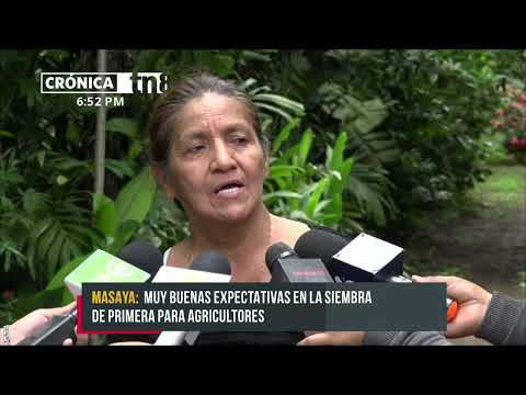 Producción de lechuga en Masaya abre más mercados para productores - Nicaragua