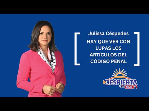 Julissa Céspedes: Hay que ver con lupas los artículos del Código Penal